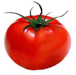 http://sassydoesit.files.wordpress.com/2008/07/organic-tomato-red.jpg